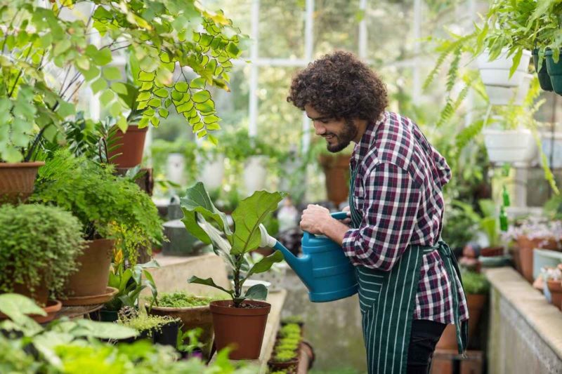 мужчина поливает растения